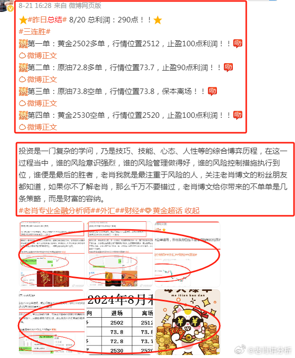 管家婆2025新澳门正版资料-全面探讨落实与释义全方位